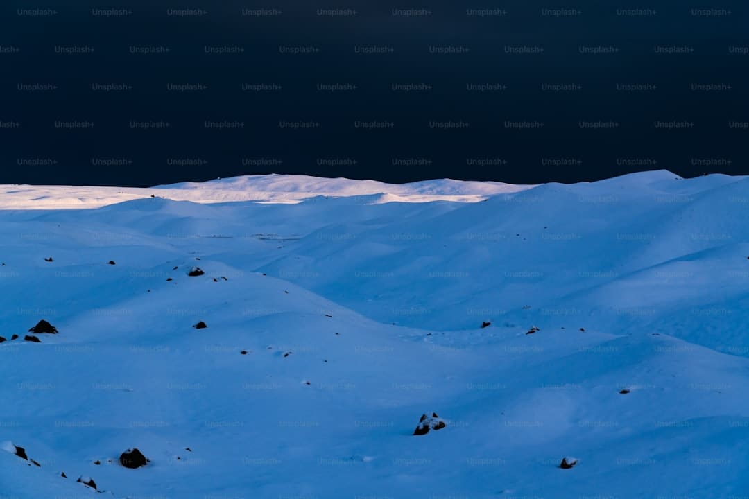 https://img2.utuku.imgcdc.com/650x0/news/20250905/99c77cf4-7cc3-4d34-a55e-c3dcaf1d61a9.jpg